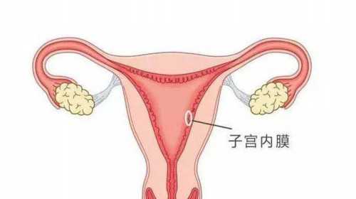 杭州代孕代孕|雅安拉拉做试管要多少钱，女同做3代试管生育的详细价格指南