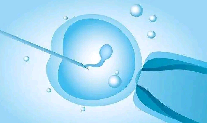 杭州女子找男代孕|兰州大学第一医院试管婴儿成功率多少