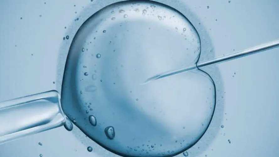 代怀孕2022_个人代怀qq群_试管移植后吃什么有助于胚胎着床