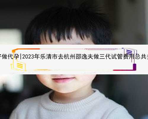 杭州哪家医院好做代孕|2023年乐清市去杭州邵逸夫做三代试管费用总共多少？看