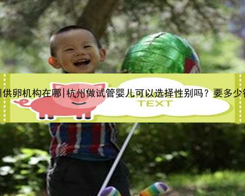 杭州供卵机构在哪|杭州做试管婴儿可以选择性别吗？要多少钱？